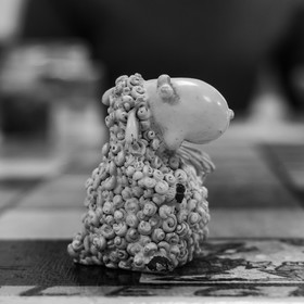 23 octobre 2019 : jeux avec Ludambule