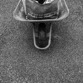 08062022-L1950116.jpg