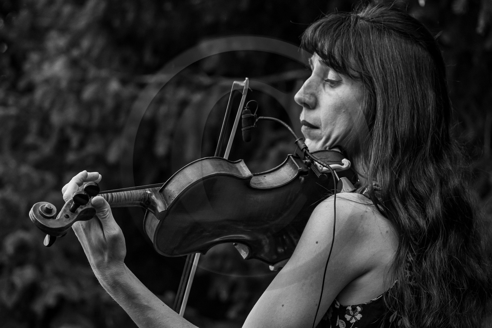 02 août 2023 : Pena Argentina