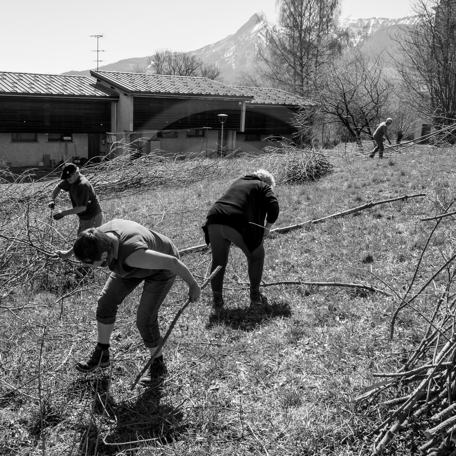 Nettoyage du terrain - Coupe du bois - 29 03 17