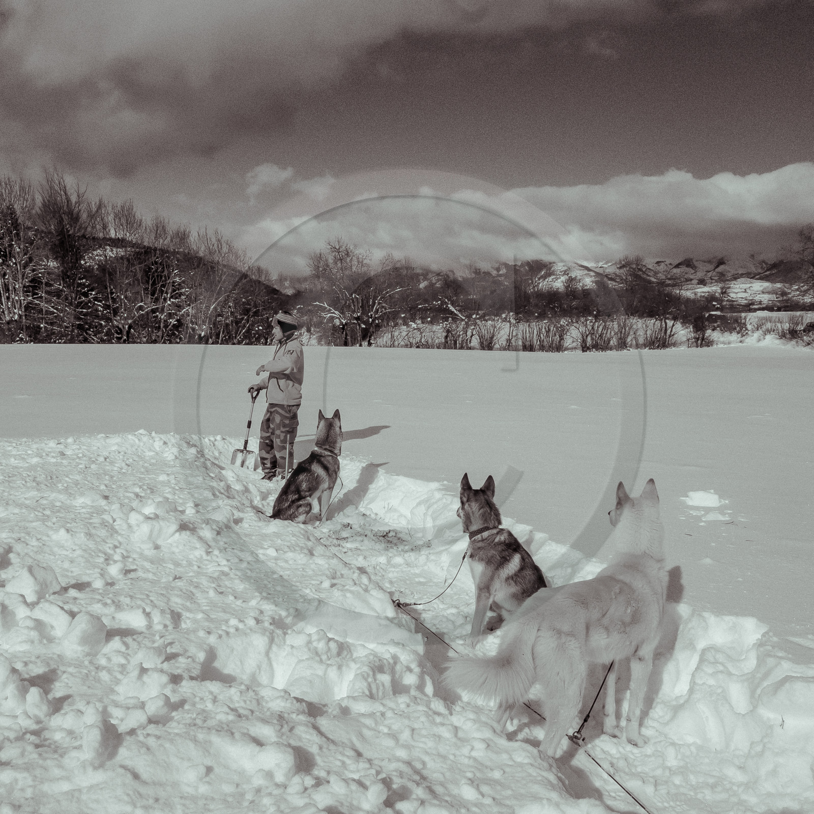 La Valgaude Traineau 2015 La Valgaude Traineau 2015