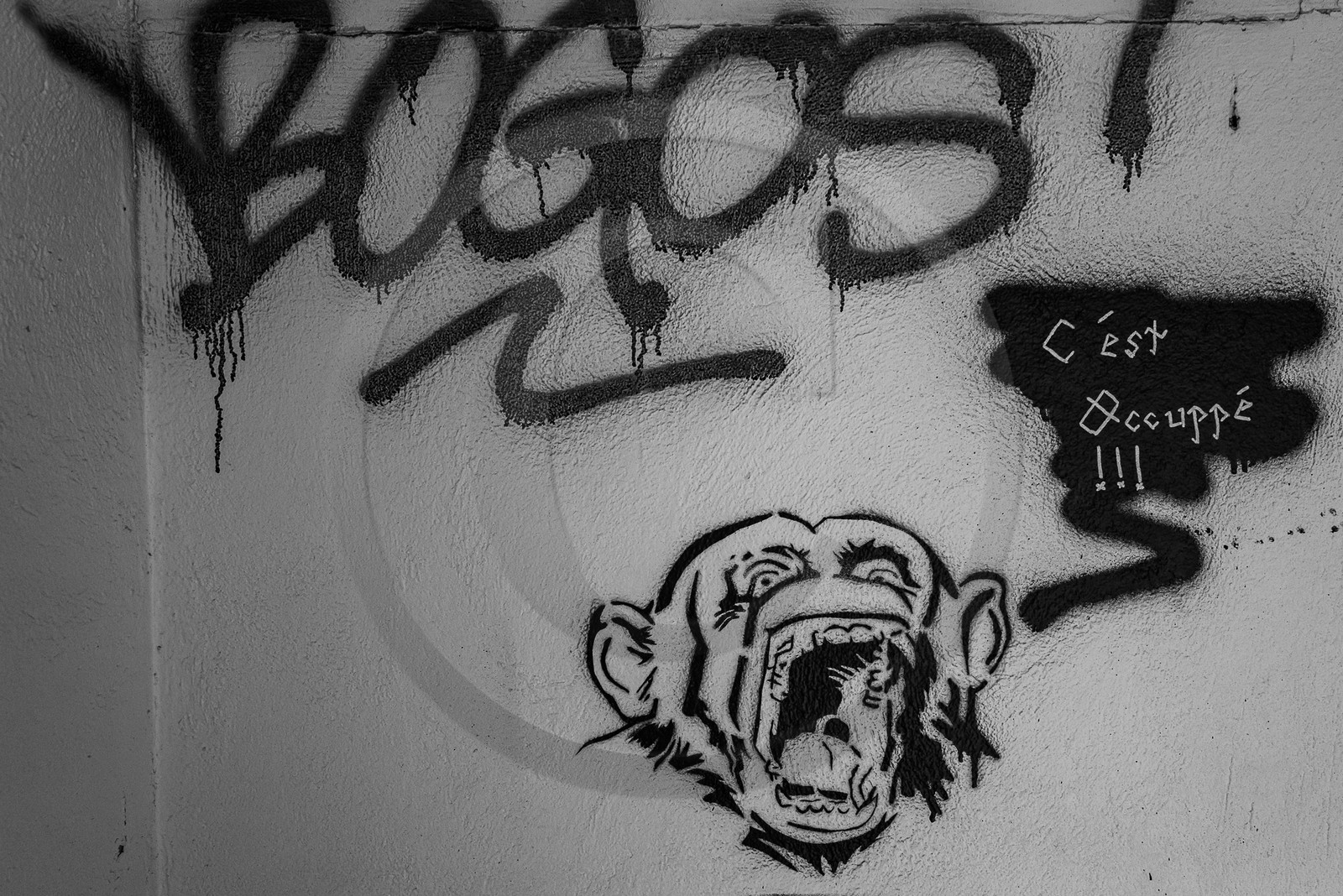 La Piscine de St Léger les Mélèzes La Piscine de St Léger les Mélèzes