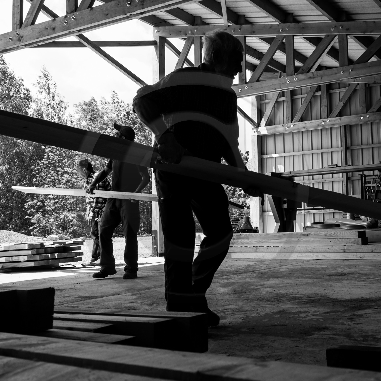 Construction d'une cabane