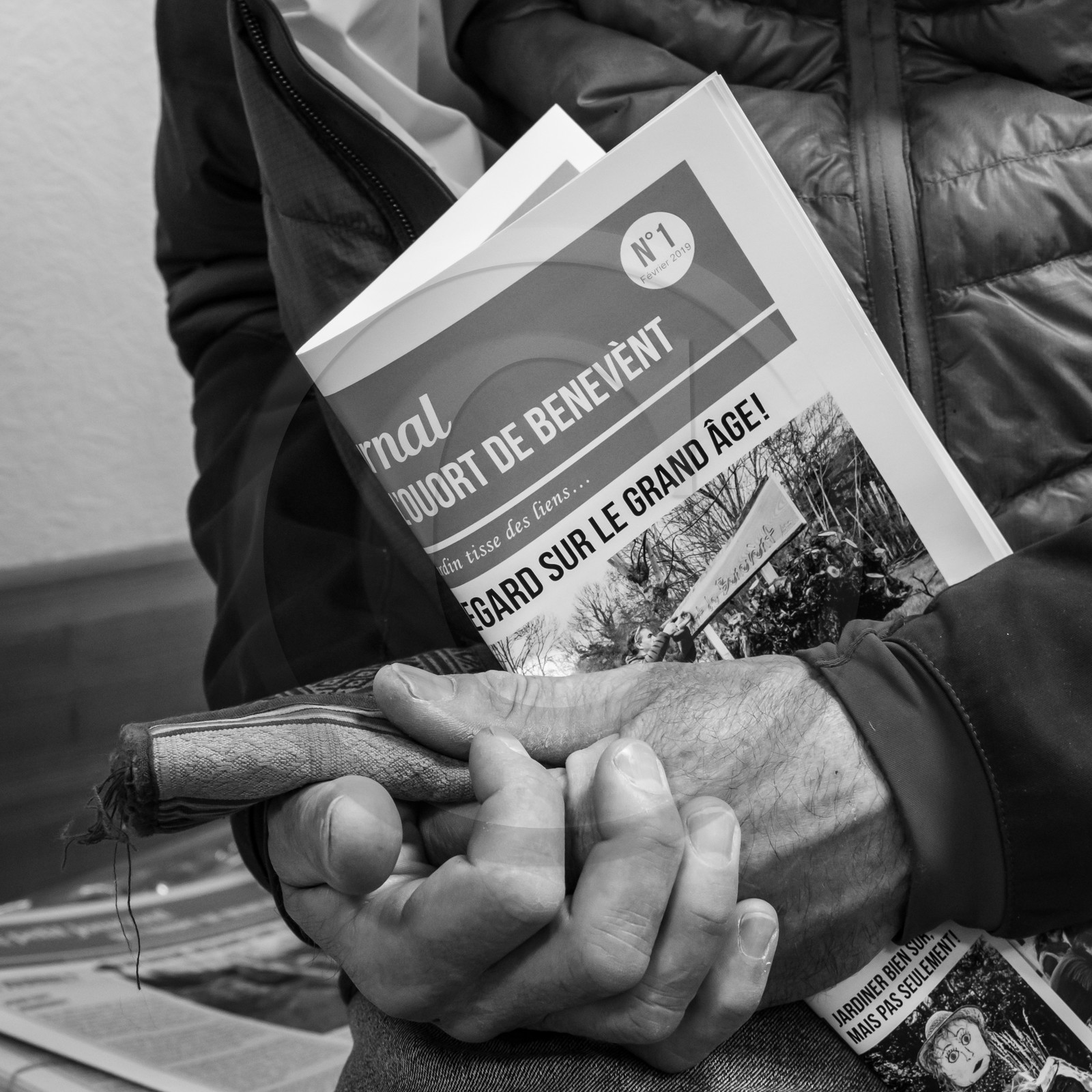 03 avril 2019 : Initiation à la greffe d'arbres fruitiers