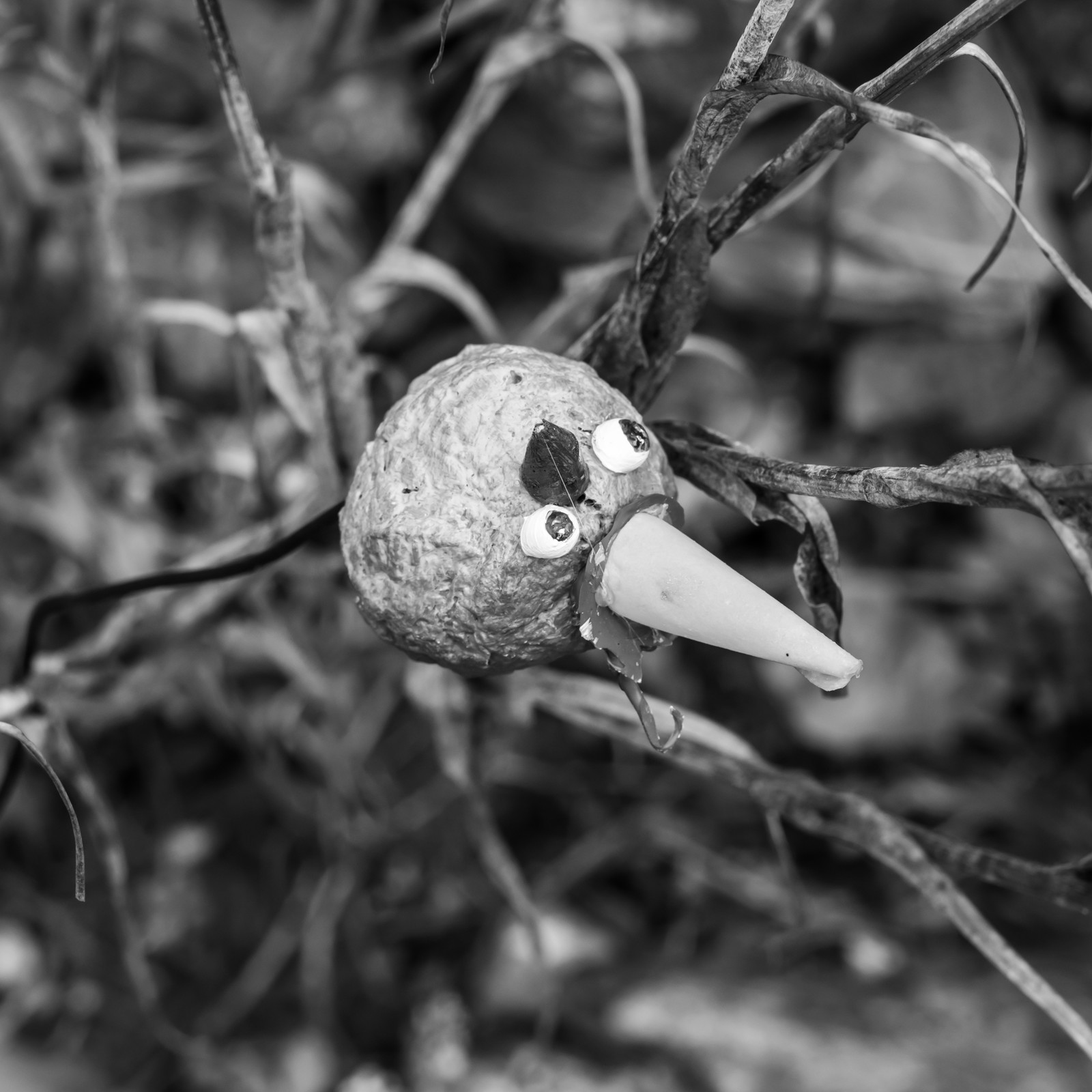 20 août 2025 : Des feuilles en argile