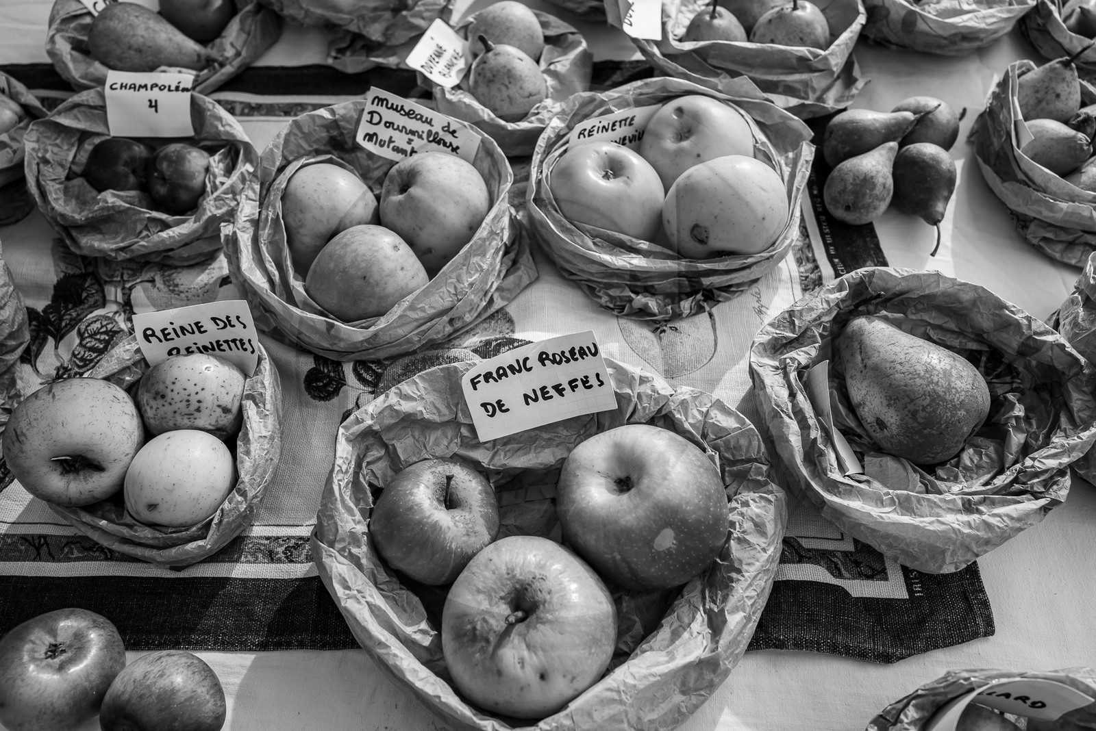 01 novembre 2023 : Des pommes et des soupes