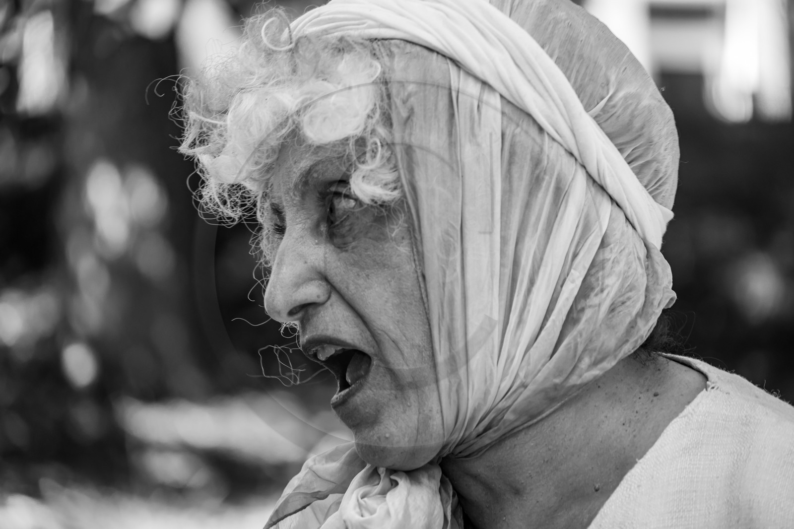 21 aout 2024 : Performance théâtrale d'Annette Chapon 21 aout 2024 : Performance théâtrale d'Annette Chapon