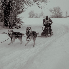La Valgaude Traineau 2015