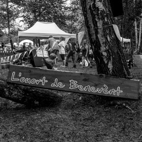 Festival l'Echo des mots