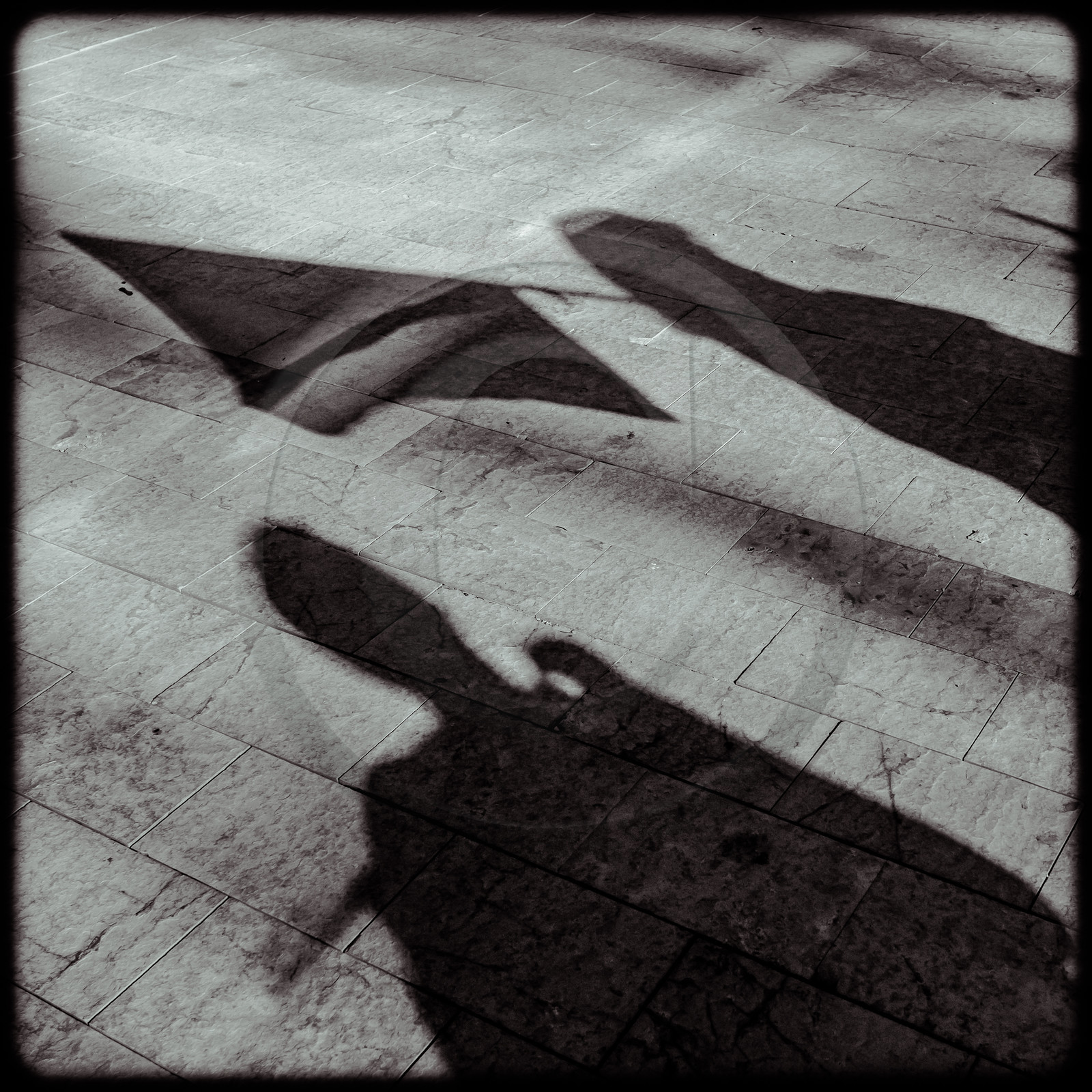 Manifestation pour la défense des retraites - Gap - 20 février 2020 Manifestation pour la défense des retraites - Gap - 20 février 2020