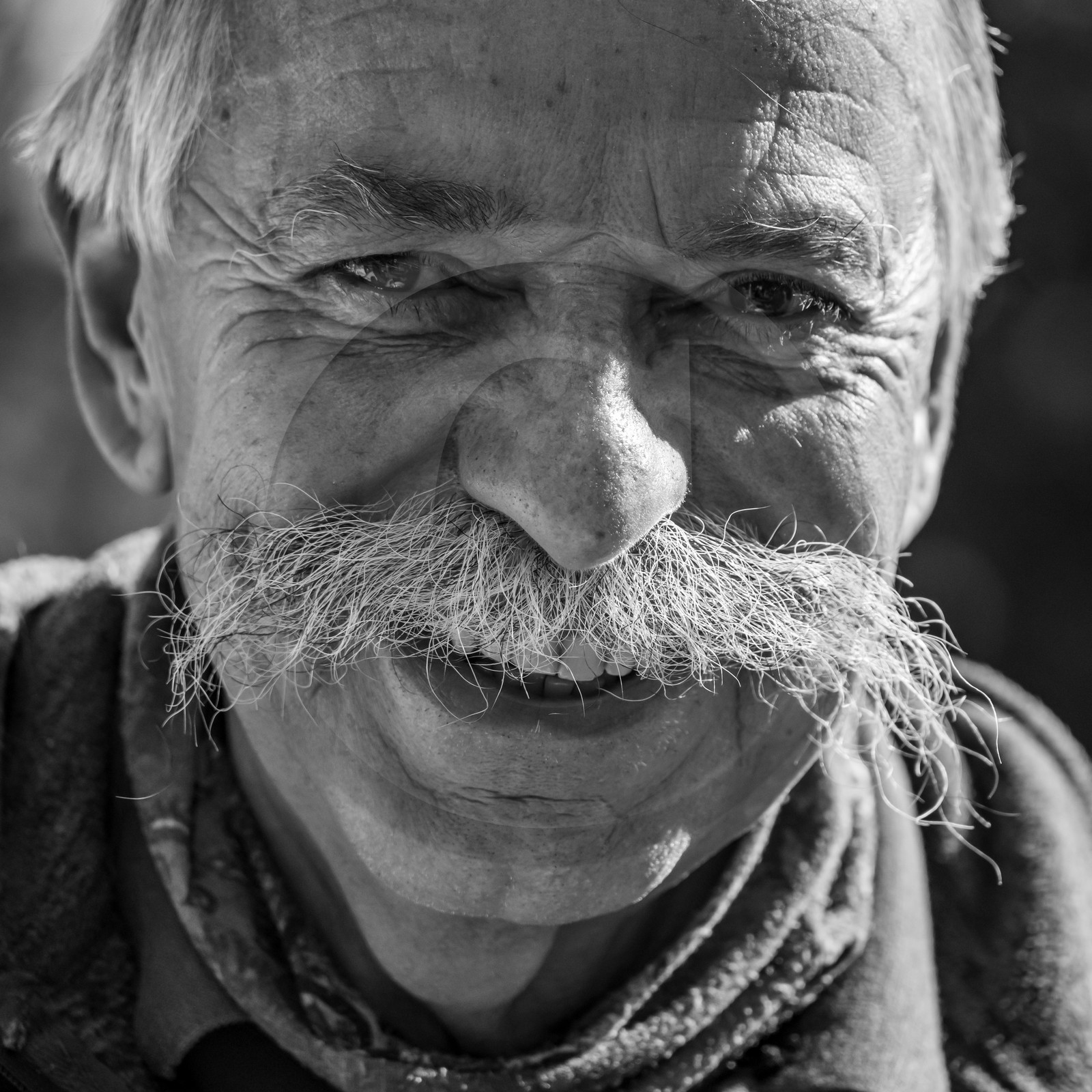 24 octobre 2021 : Fais ta soupe et ramène ta pomme