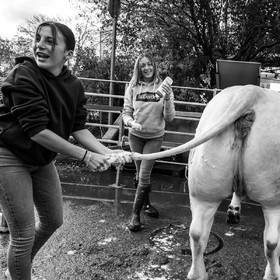 Rencontres paysannes à Saint-Bonnet en Champsaur