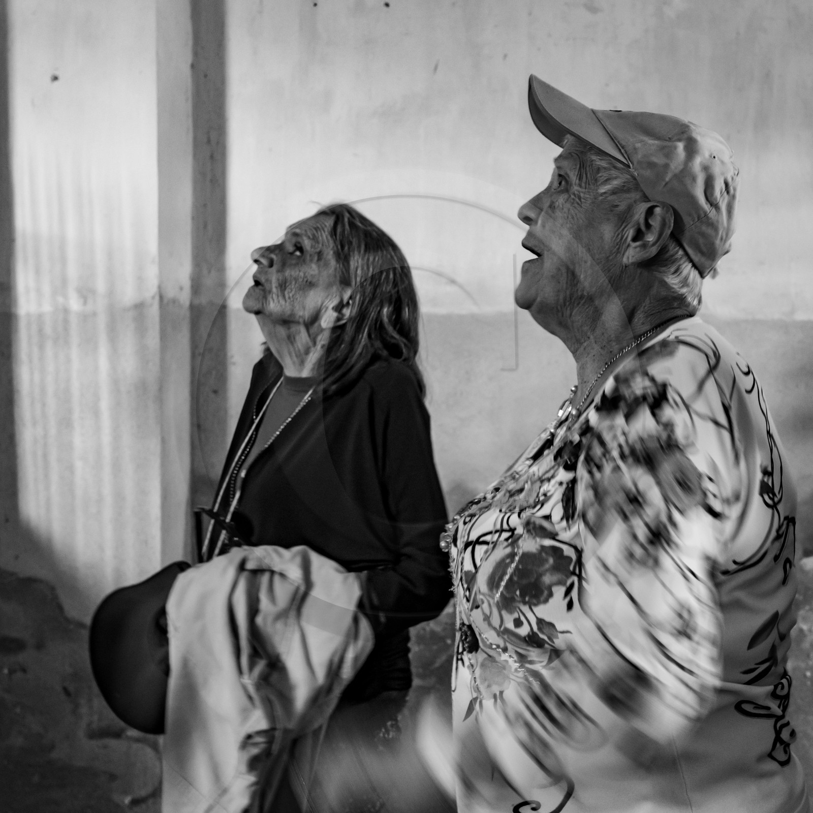 01 septembre 2021 : Promenade en cariole et contes