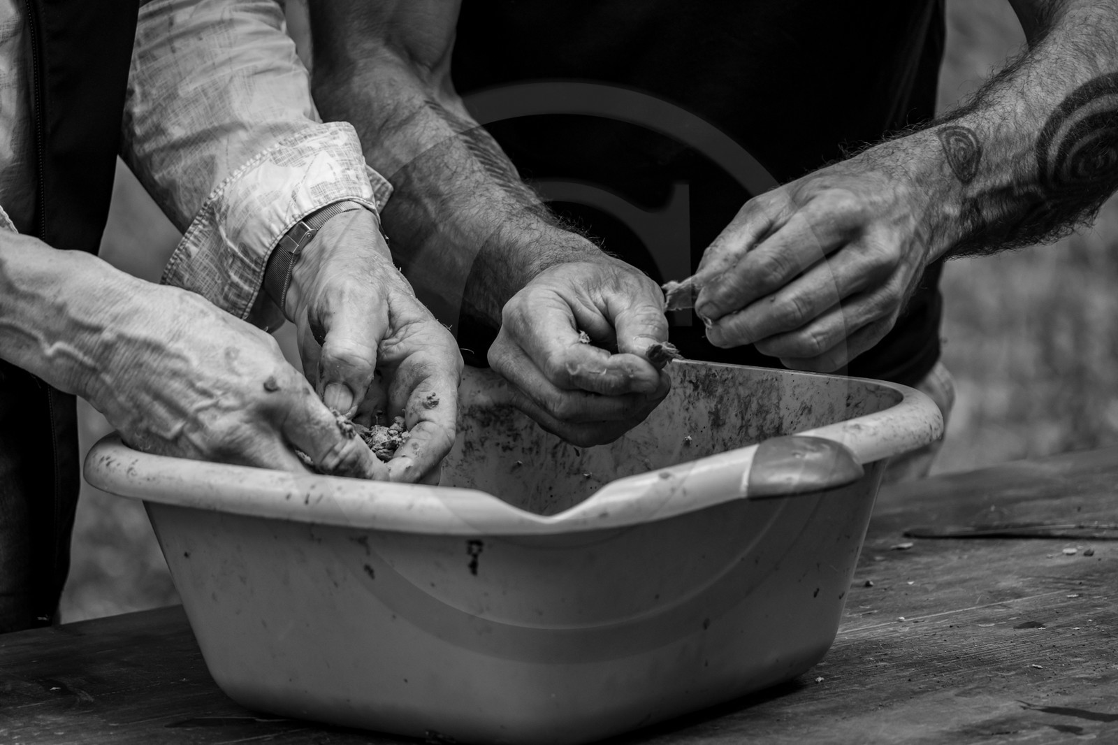 14 aout 2024 : Les ateliers créatifs proposés par l'Ouort au festival  l'Echo des Mots à Saint-Jean-Saint-Nicolas