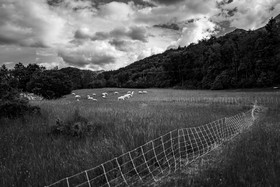 Le Pas du Loup - Le Glaizil -14 mai 2023