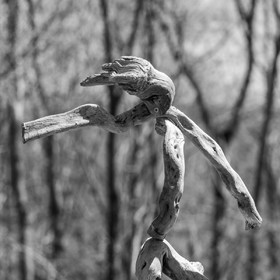 Atelier laine et promenade au jardin