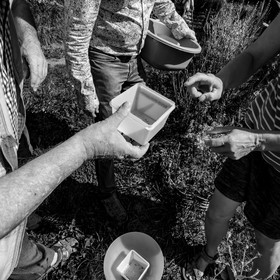 16 août 2021 : Journée des aidants