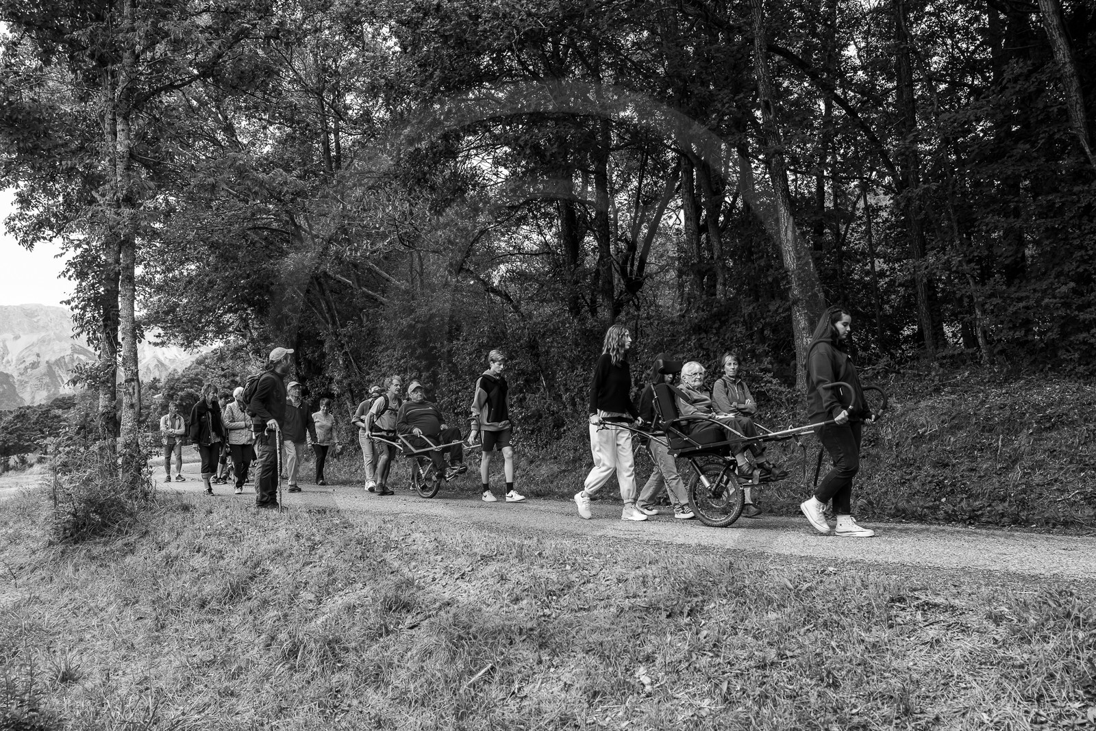 20 septembre 2023 : Promenade en joelette