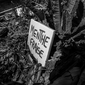 Atelier laine et promenade au jardin