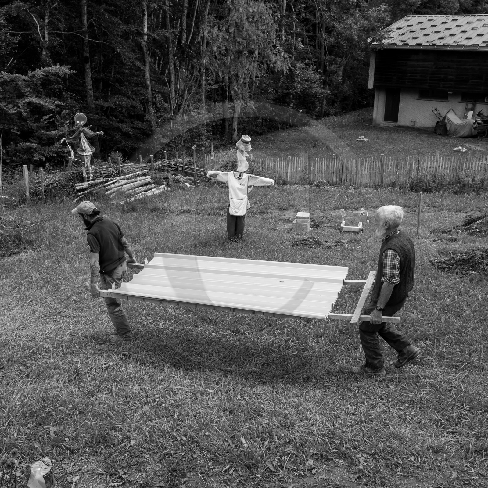Construction d'une cabane