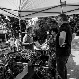 22 mai 2022 : Vide-Jardin