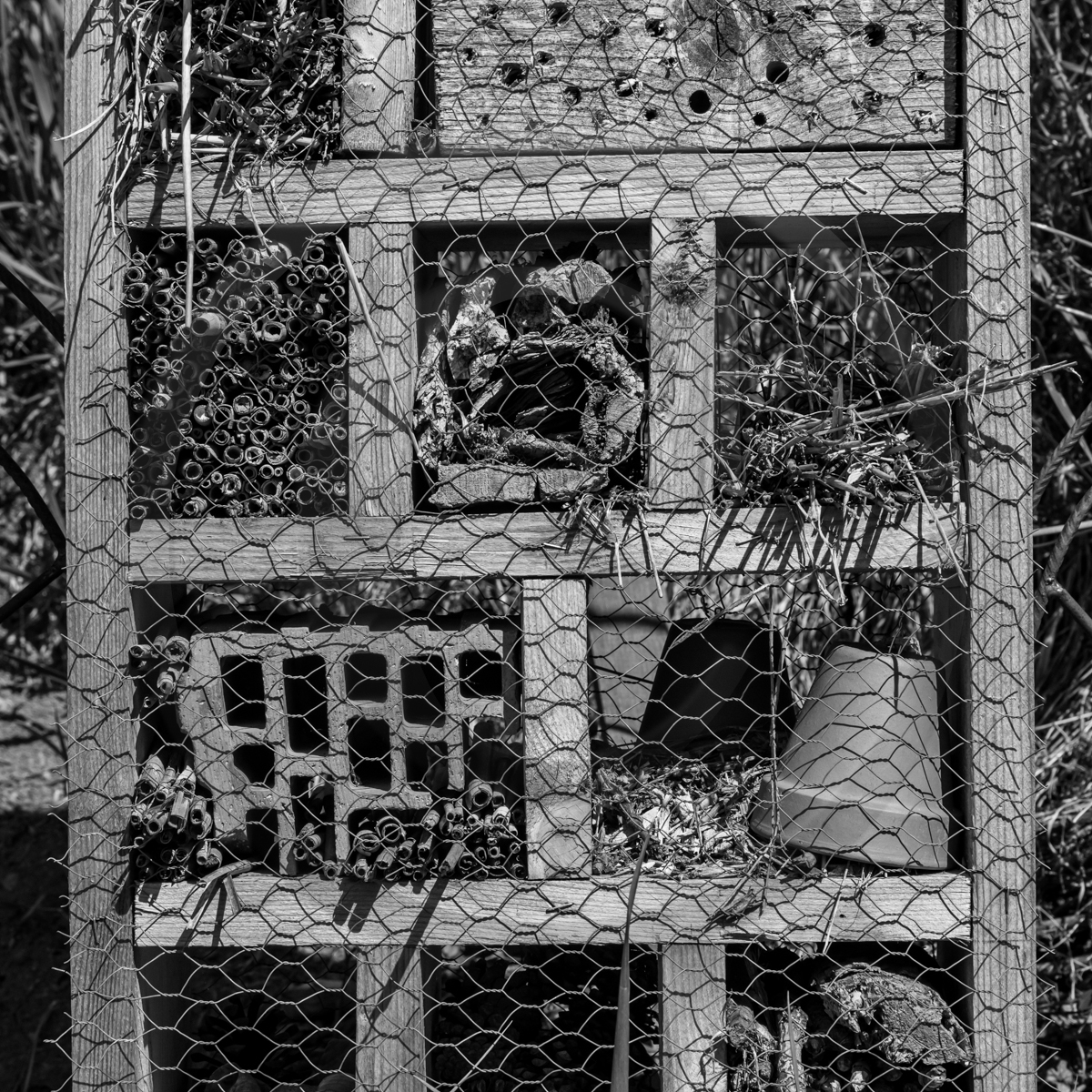 29 avril 2022 : journée des aidants et des aidés