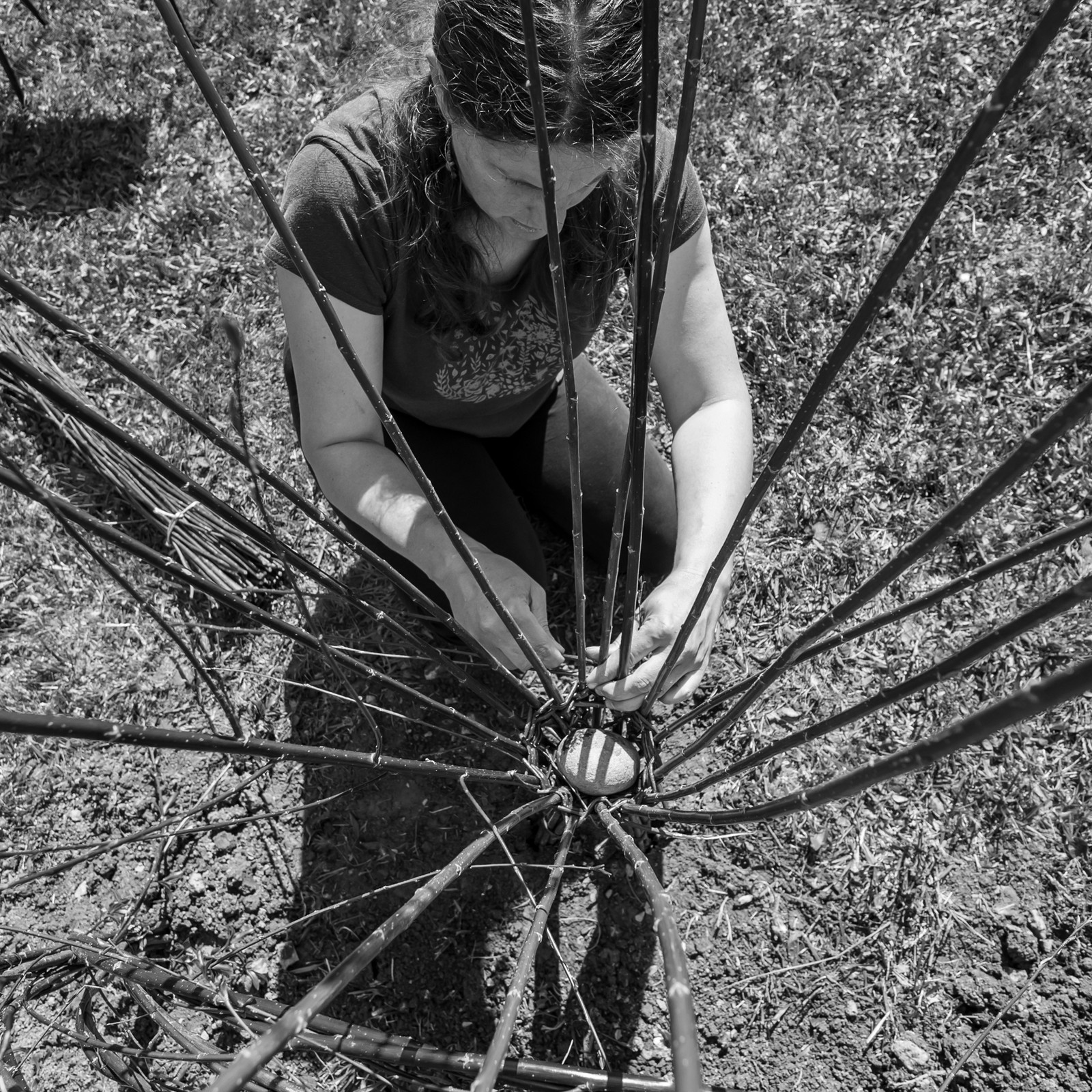 30 avril 2025 : Un oiseau en osier
