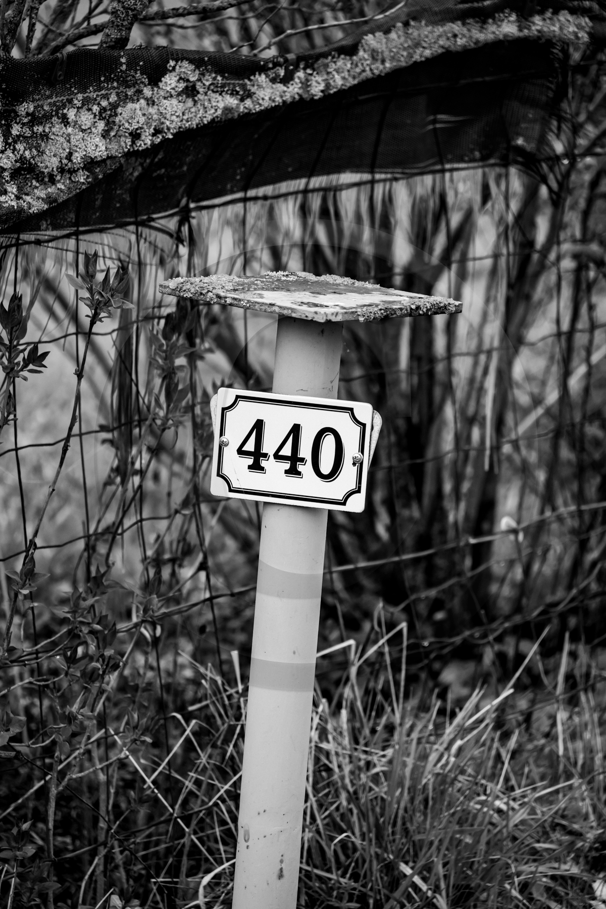 Des chiffres et des lettres