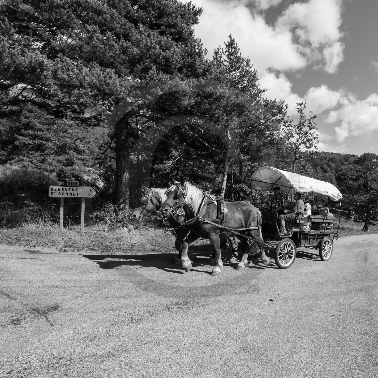 25 septembre 2019 : Promenade en calèche