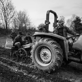 La plantation des pommes de terre