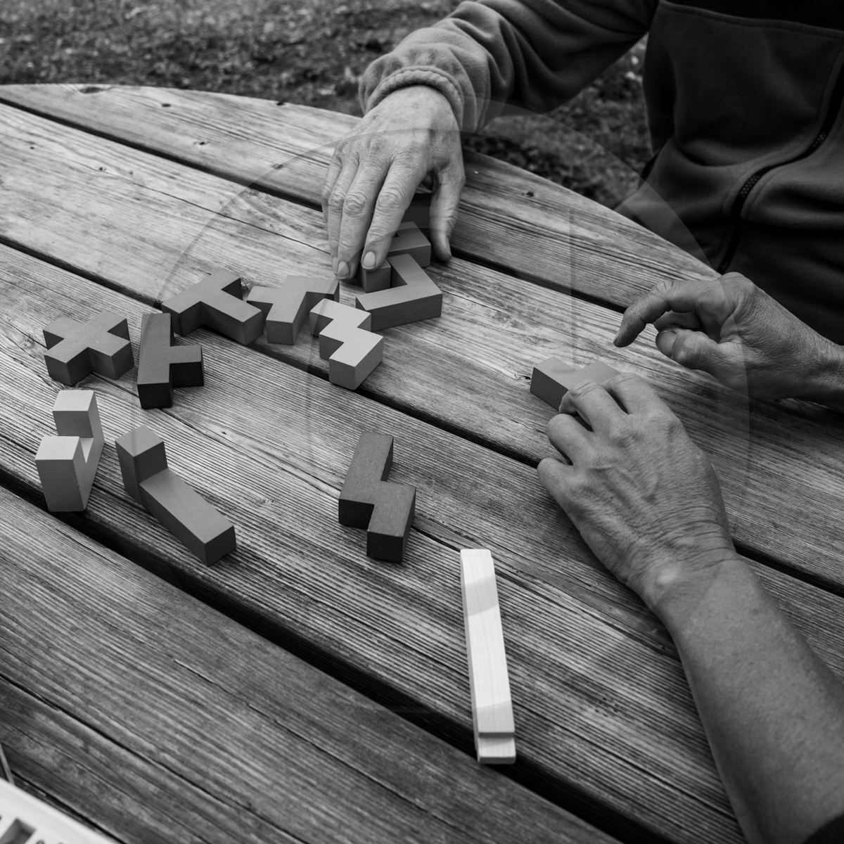 14 septembre 2022 : jeux, laine et promenade