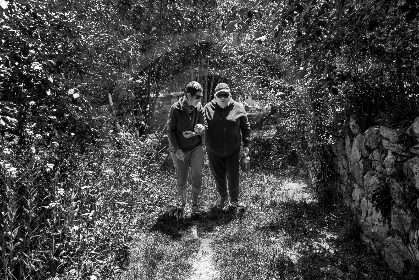 12 juin 2024 : création d'un jeu et jardinage 12 juin 2024 : création d'un jeu et jardinage