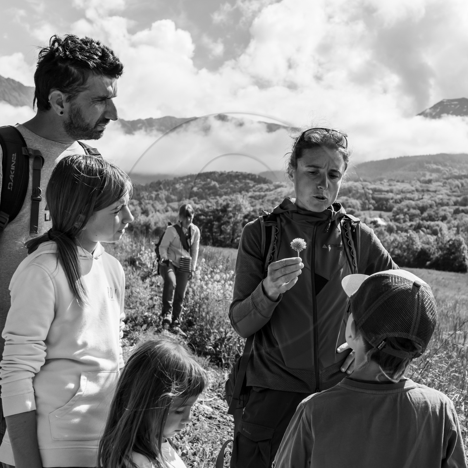 06 juin 2021 : Vide-Jardin et peinture végétale