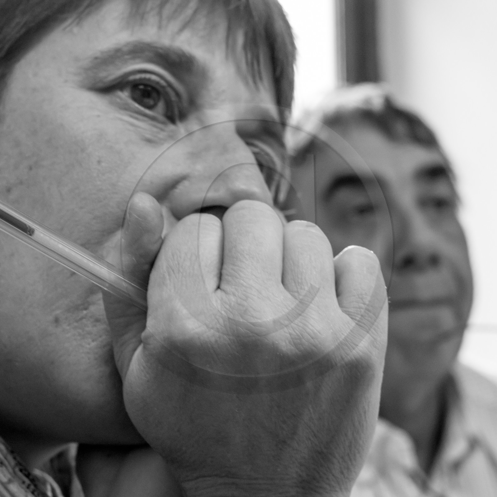 L'Ouort de Bénévent - 27 janvier 2017