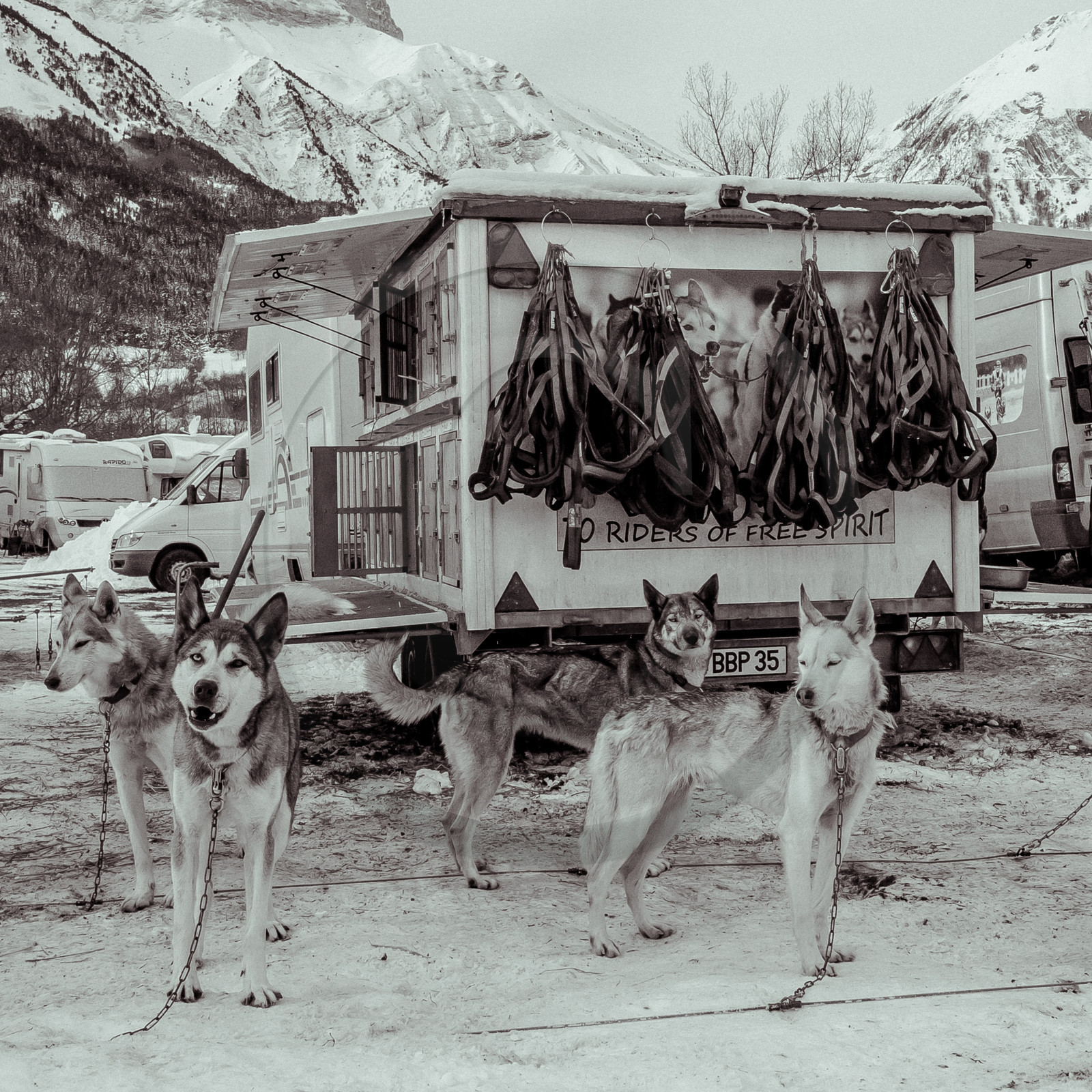 La Valgaude Traineau 2015 La Valgaude Traineau 2015