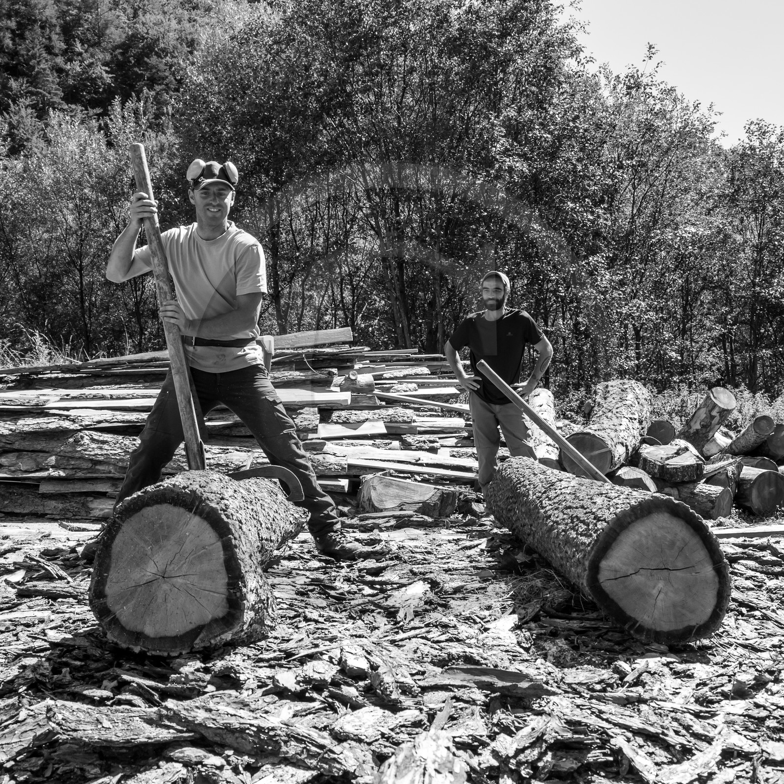 09 août 2017 - Scie mobile