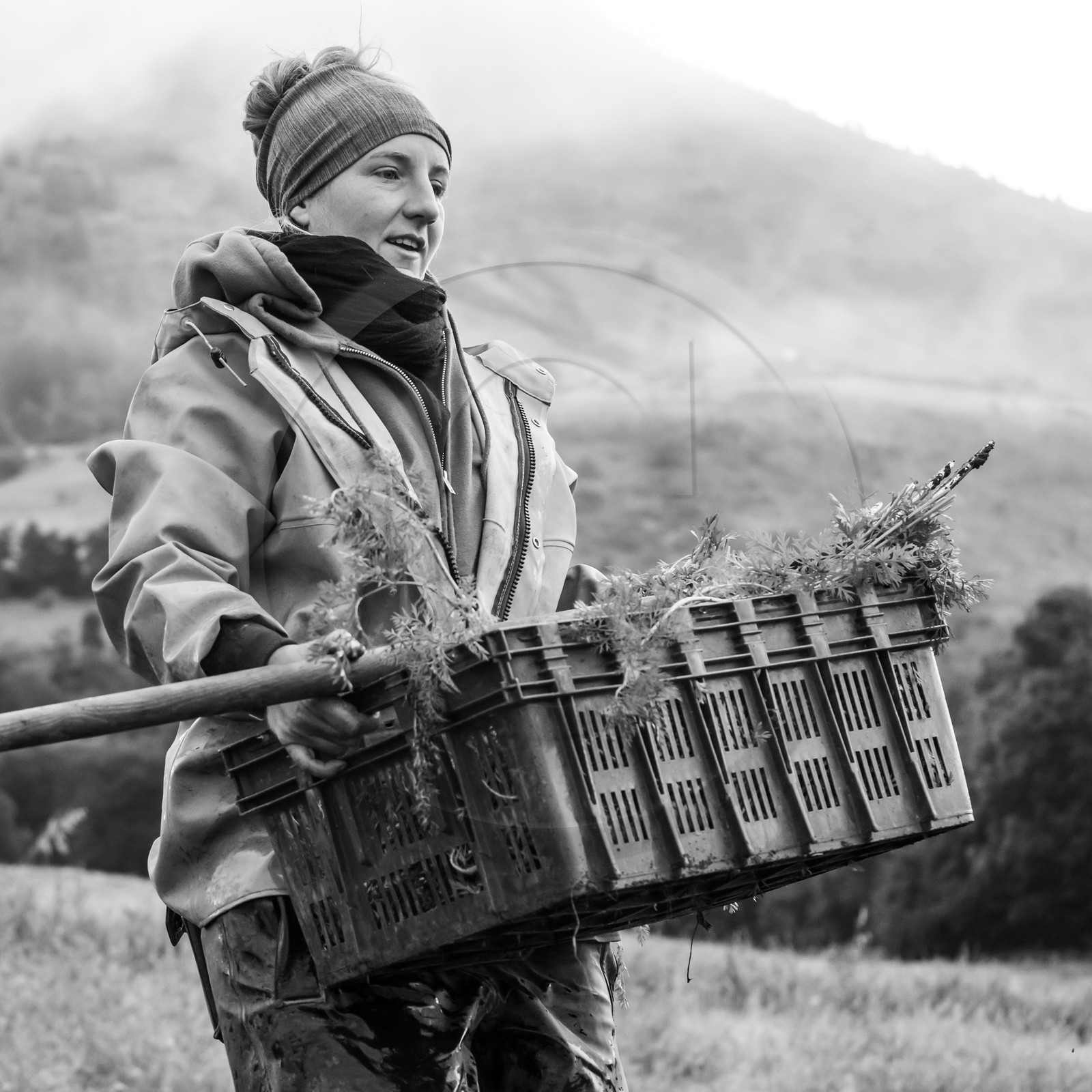 Maraichage biologique dans le Champsaur