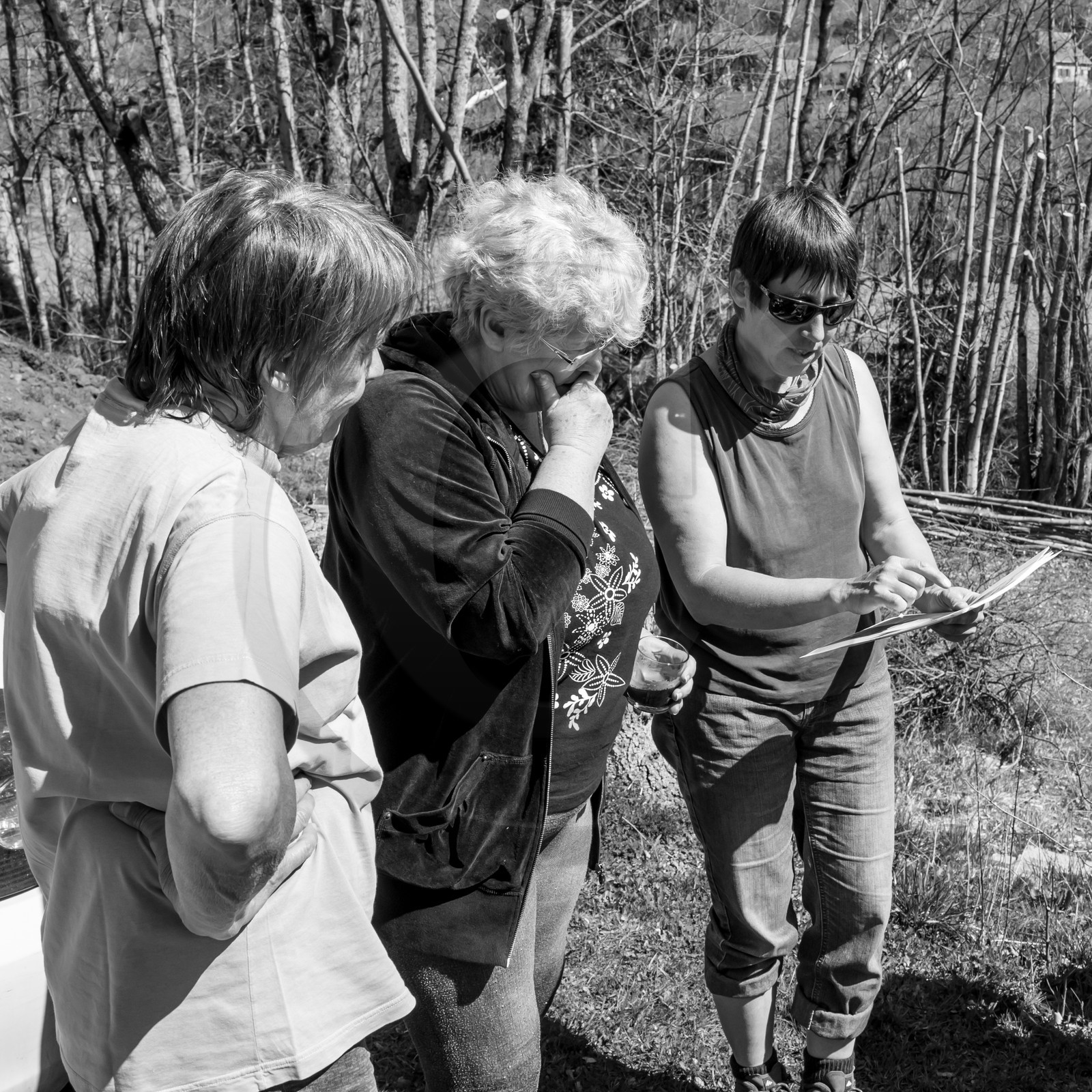 Nettoyage du terrain - Coupe du bois - 29 03 17