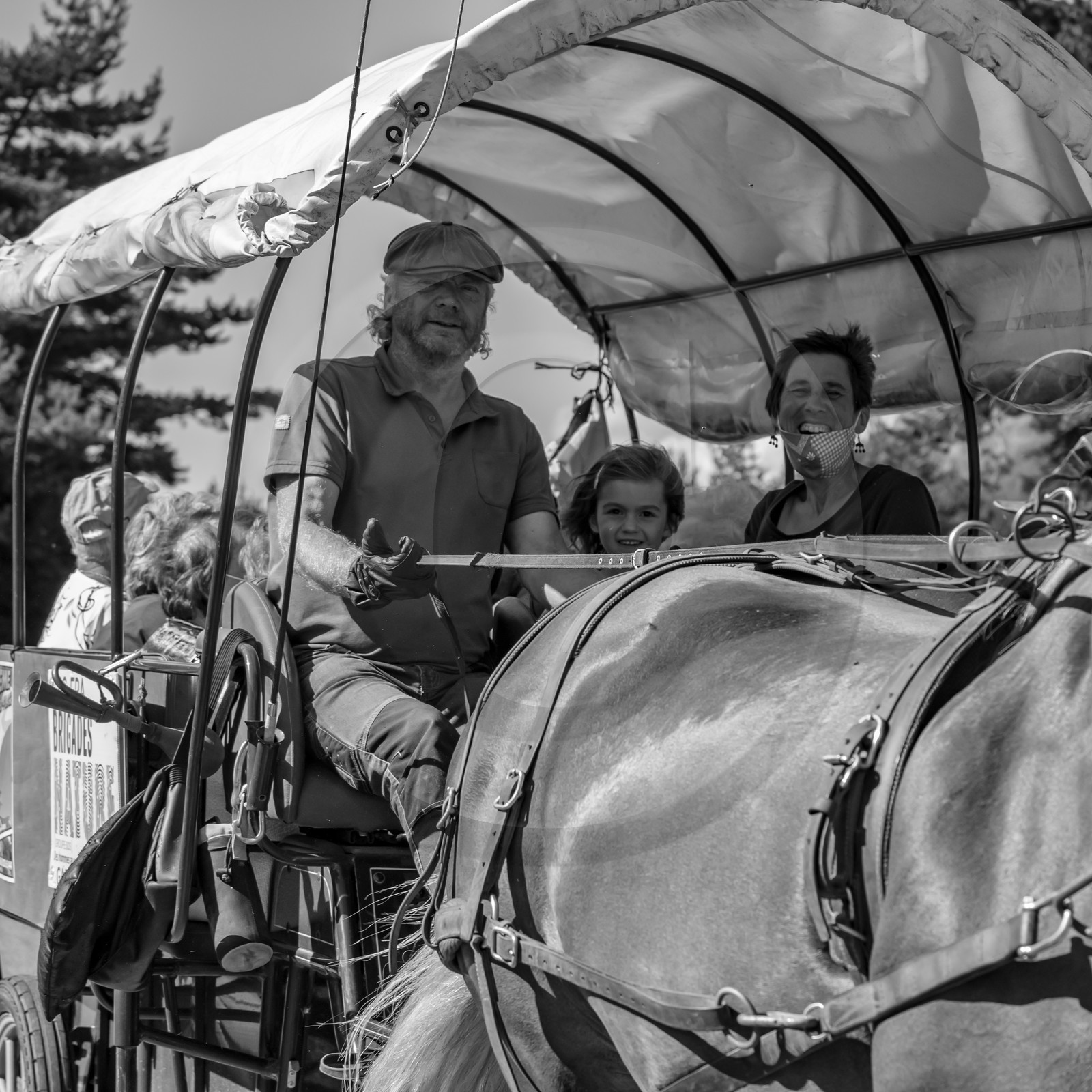 01 septembre 2021 : Promenade en cariole et contes