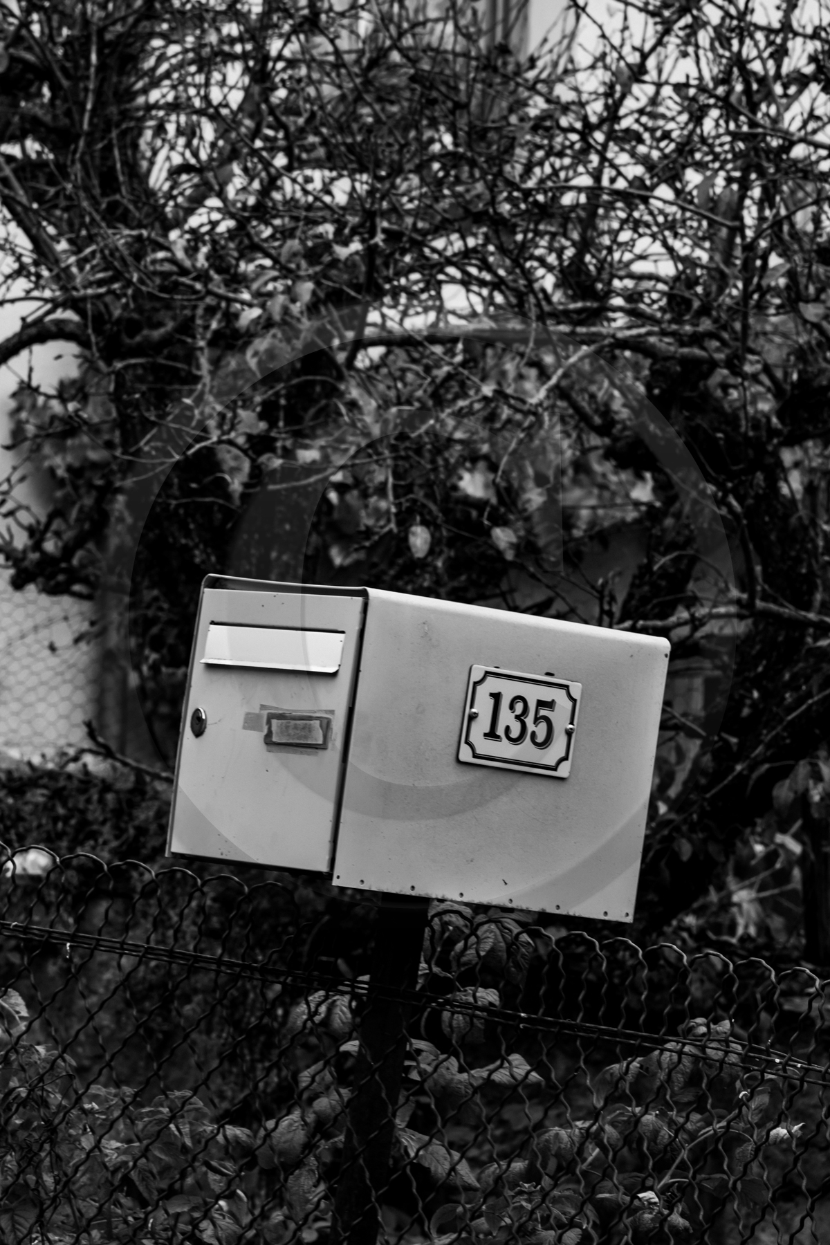 Des chiffres et des lettres