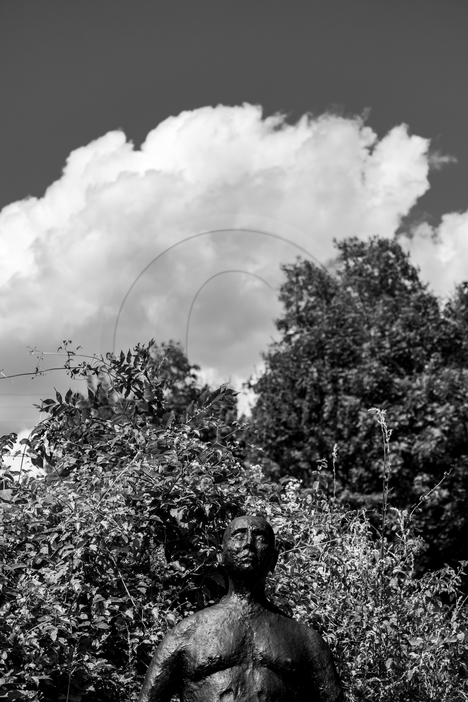 Exposition La forêt d'hommes, une création de Barbara Fougnon, artiste plasticienne