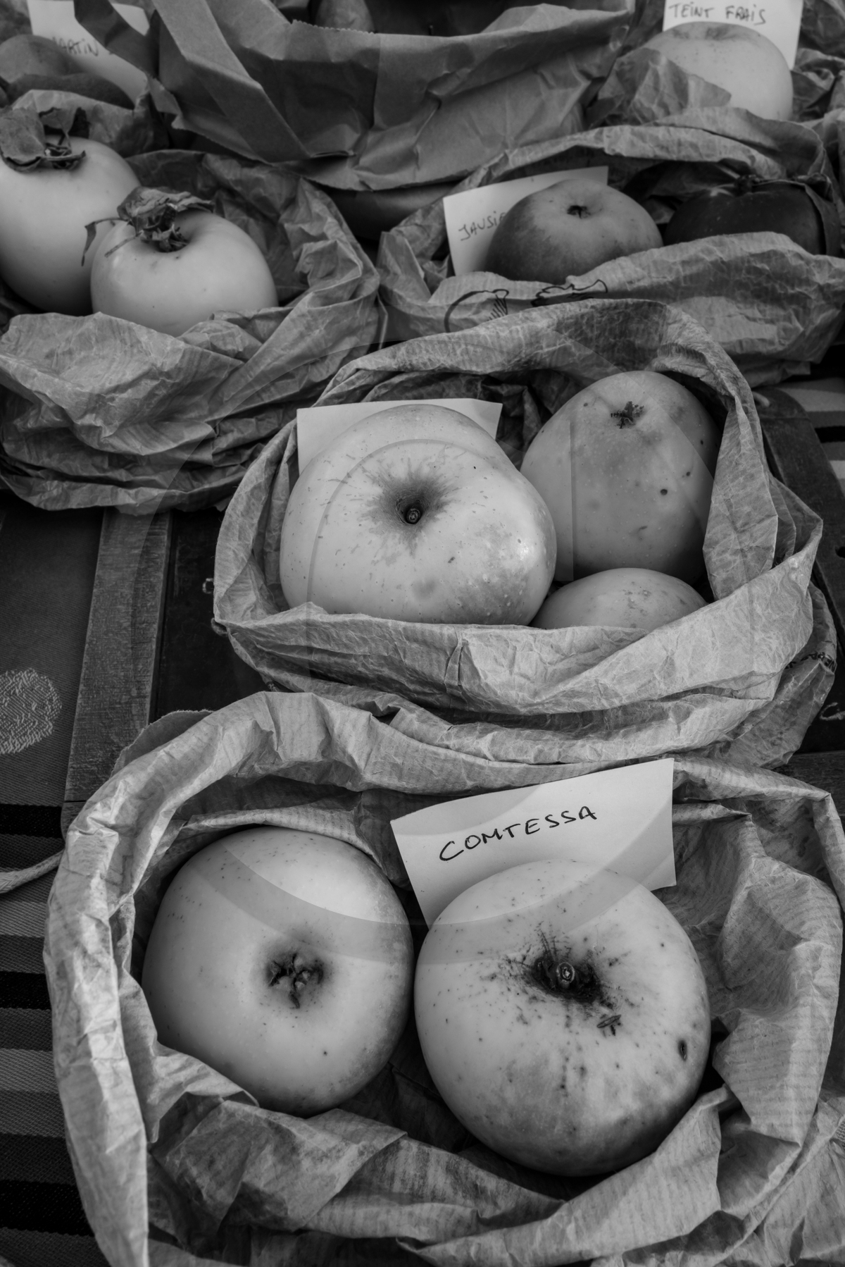 05 novembre 2022 : des pommes et des soupes