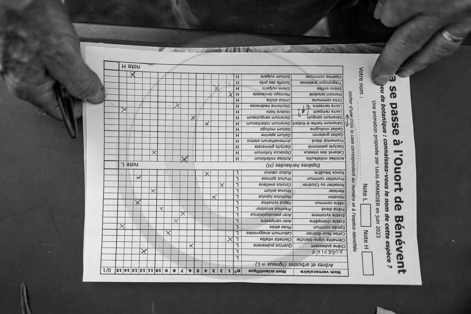 21 juin 2023 : Découverte botanique