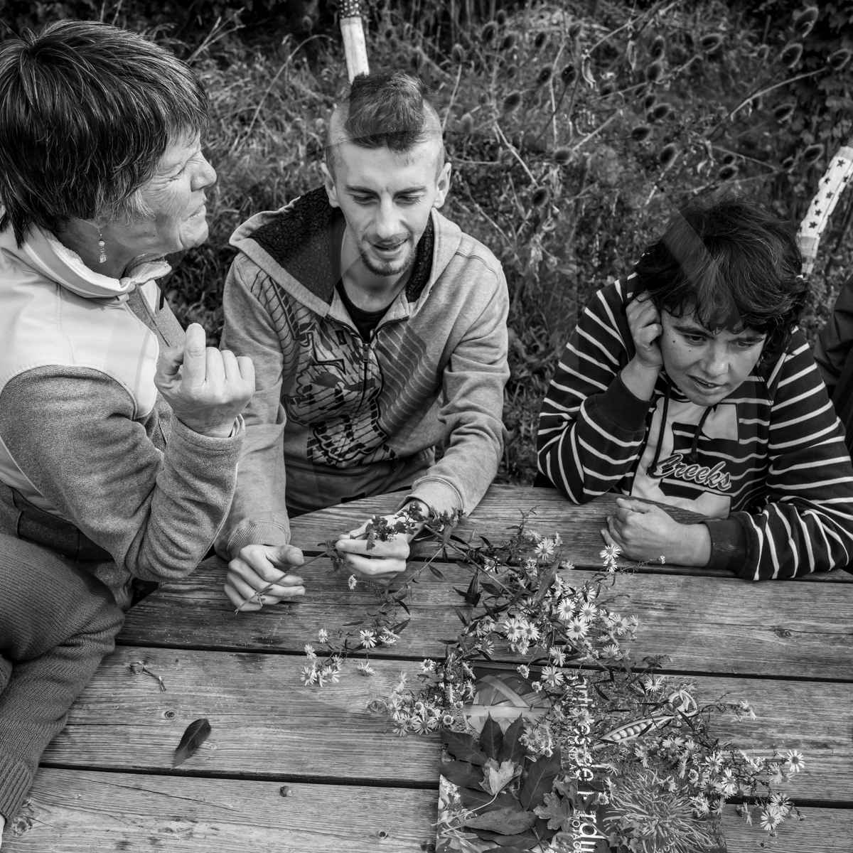 12 octobre 2022 : Land Art à l'Ouort