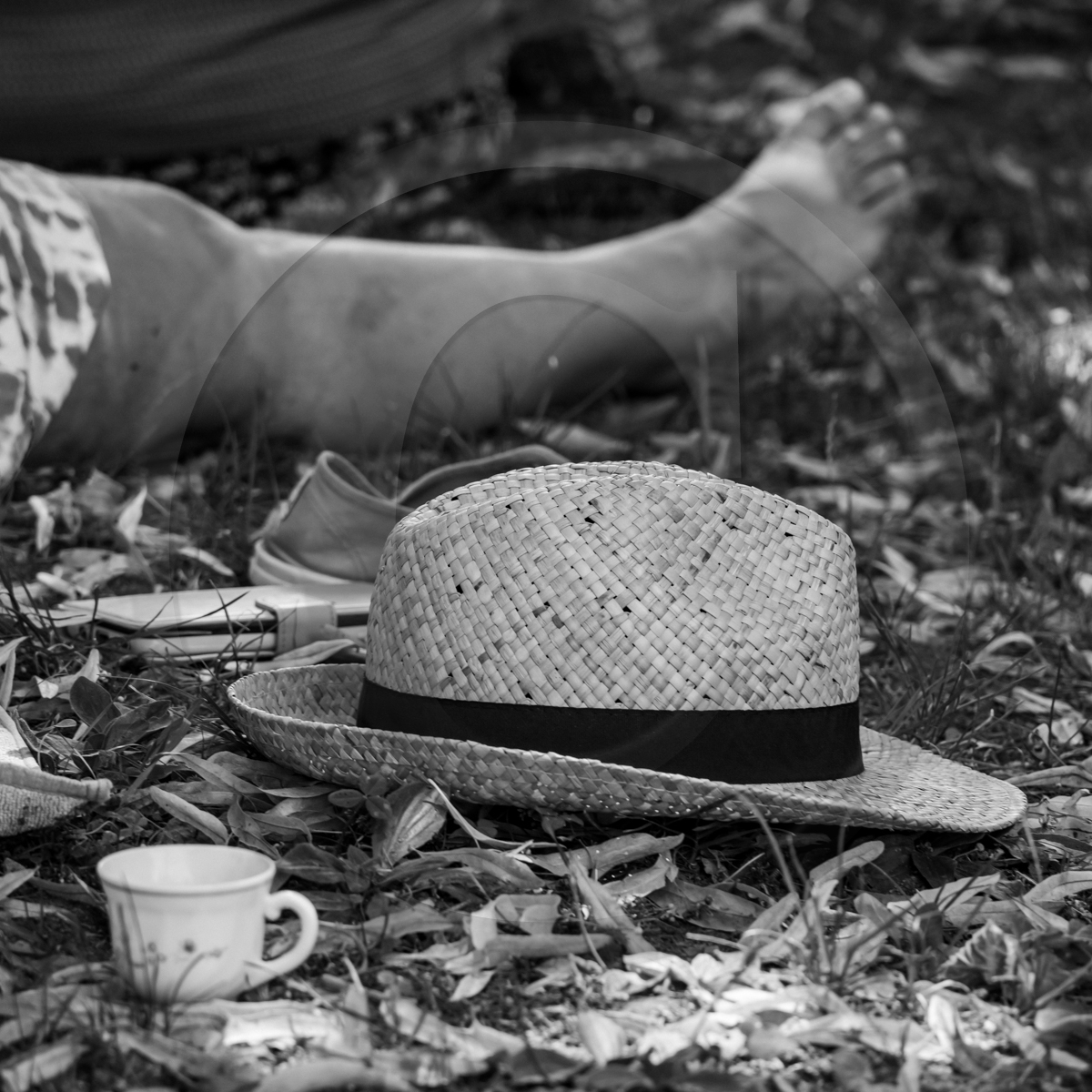 06 juillet 2022 : Sieste Musicale