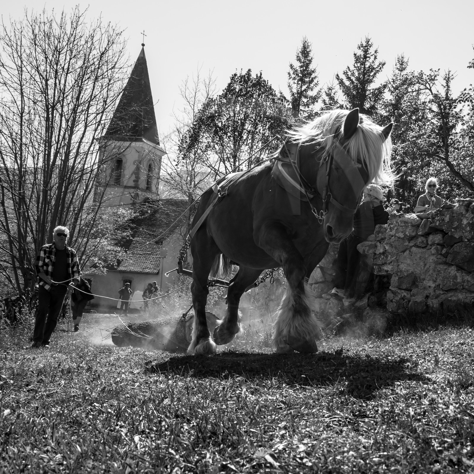L'Ouort de Bénévent - 17 avril 2017