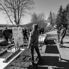 10 avril 2022 : Initiation à la greffe d'arbres fruitiers