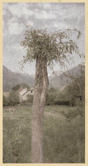 Le kilomètre dérogatoire