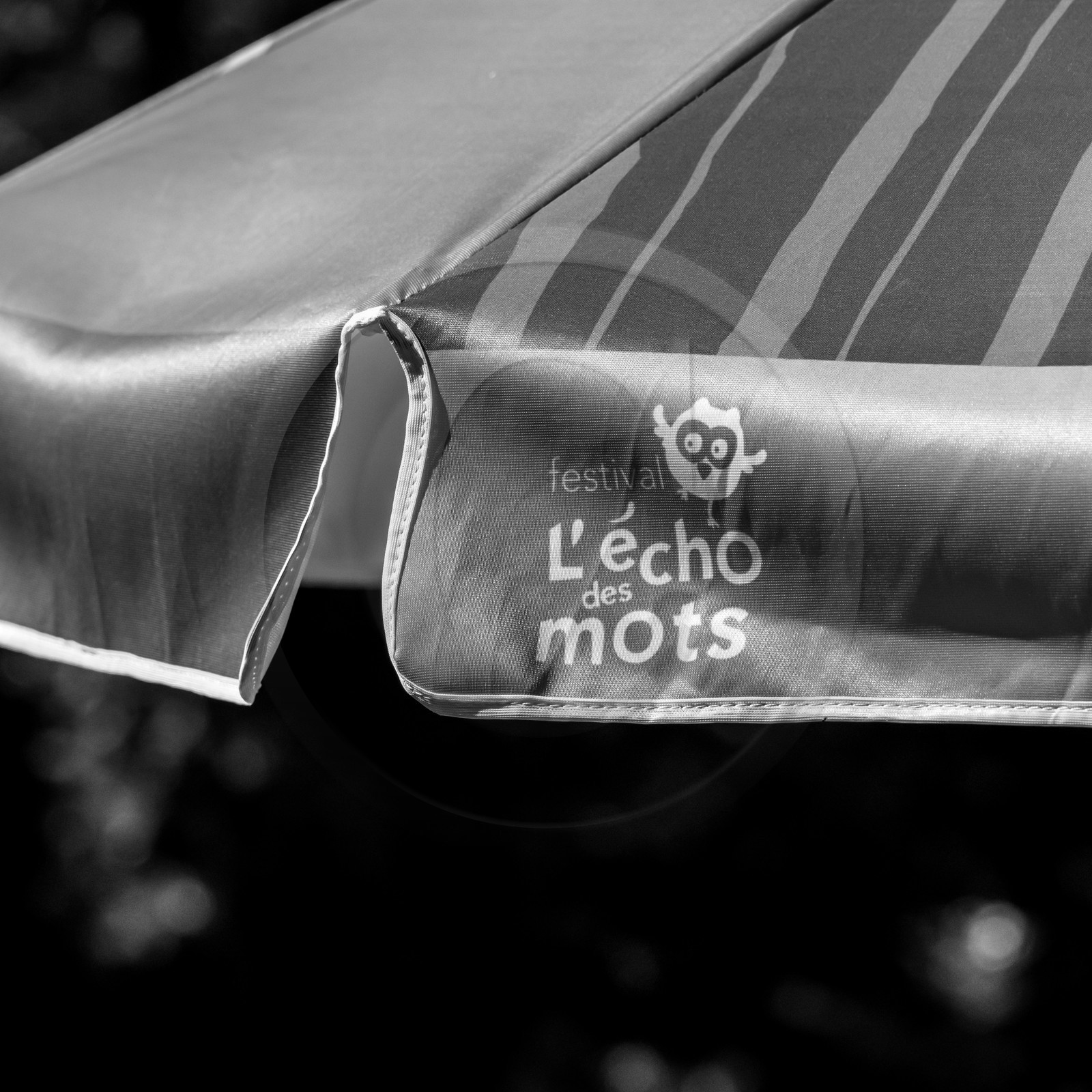 L'écho des mots