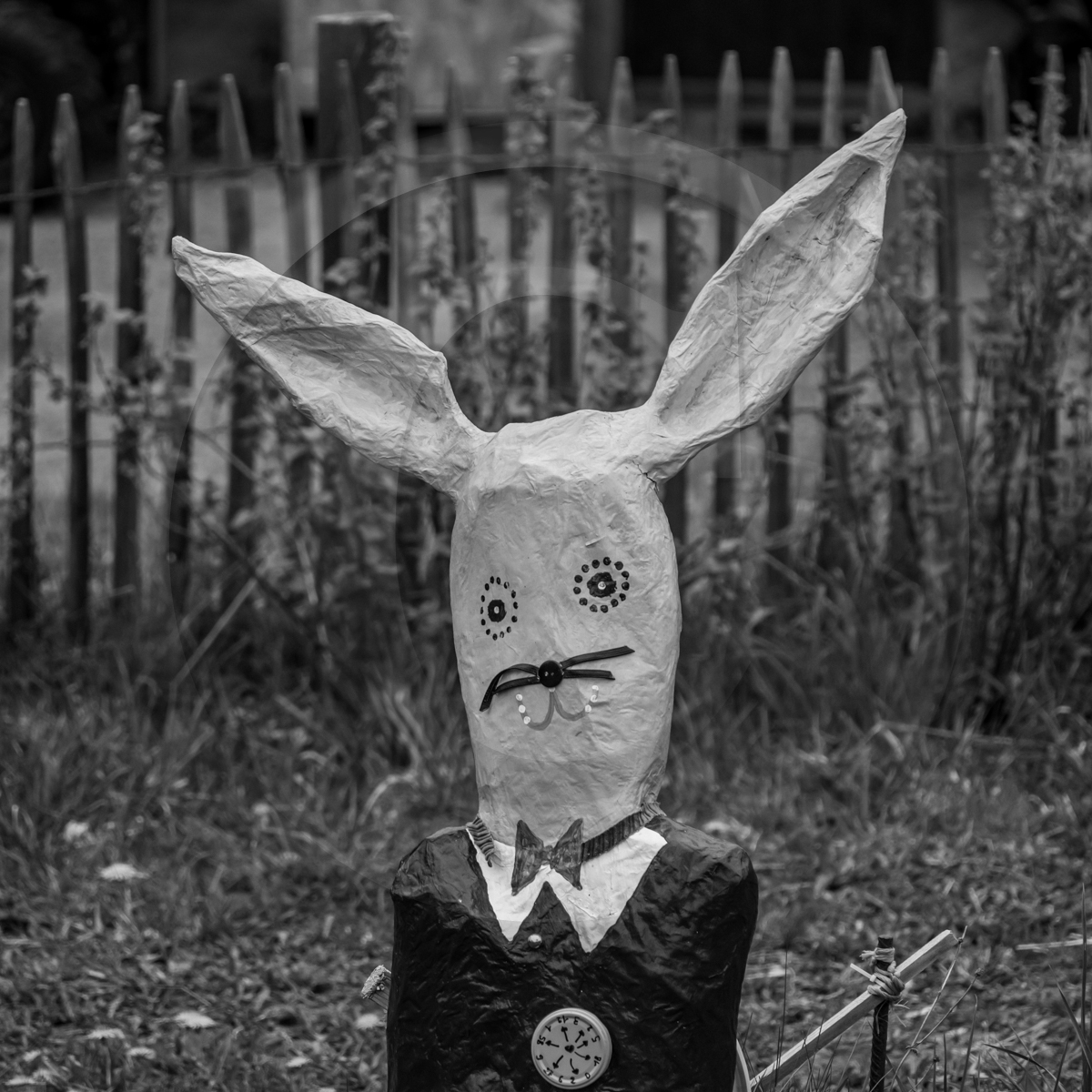 20 avril 2022 : des contes, des pommes de terre et un petit café